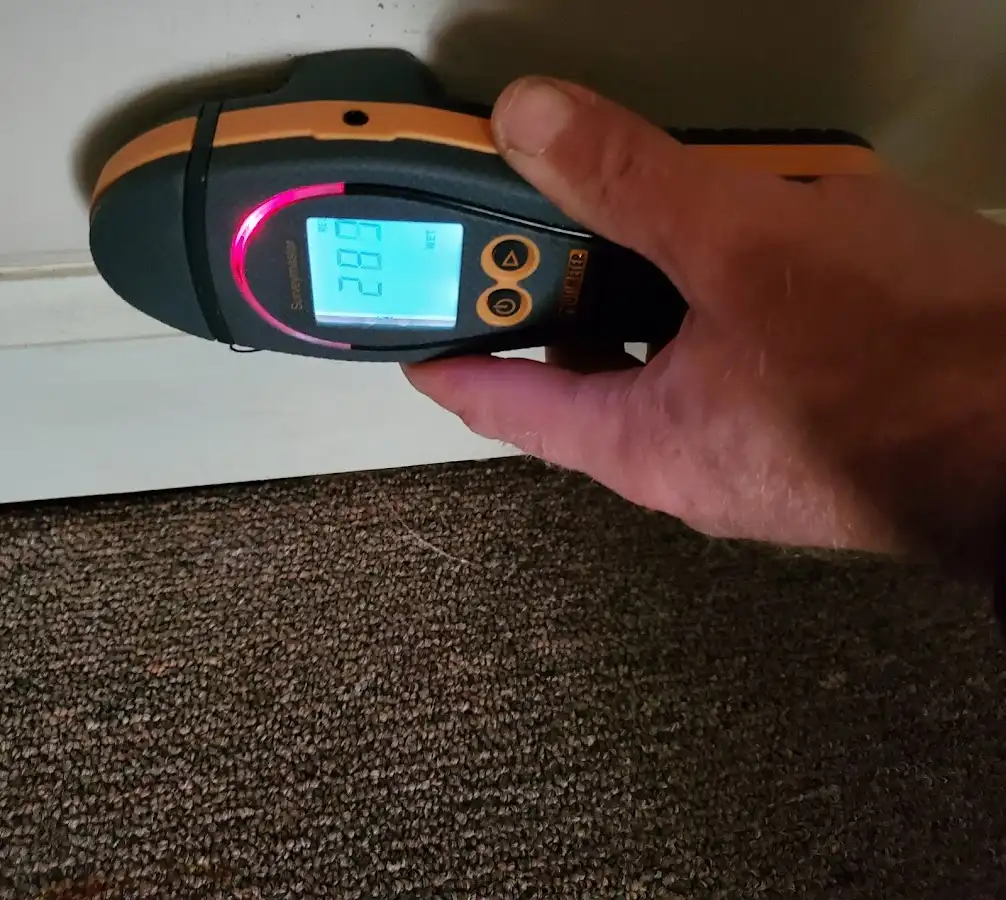 Moisture detection at baseboard during Sewage Cleanup & Sanitation in Deptford
